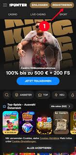 Mr Punter Gambling Establishment Review 2026